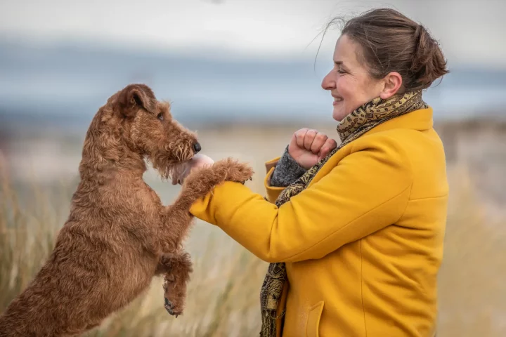 welche terrier gibt es